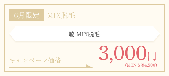 6月限定　脇 MIX脱毛
