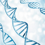 防衛力・保湿・美肌修復